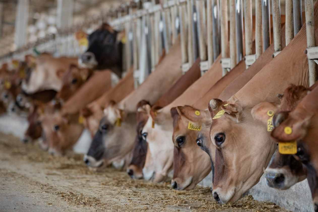 1687942933196098.jpg 圖片6.jpg